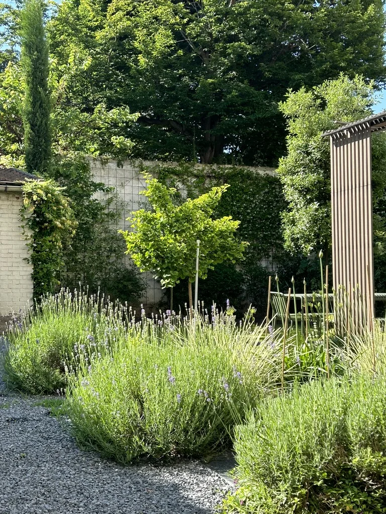 Au détour d'un jardin — vue 5