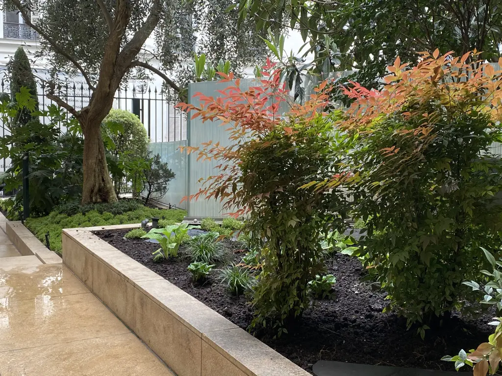 Jardin d'ailleurs — massif exotique en cour intérieure, G Mon Jardinier