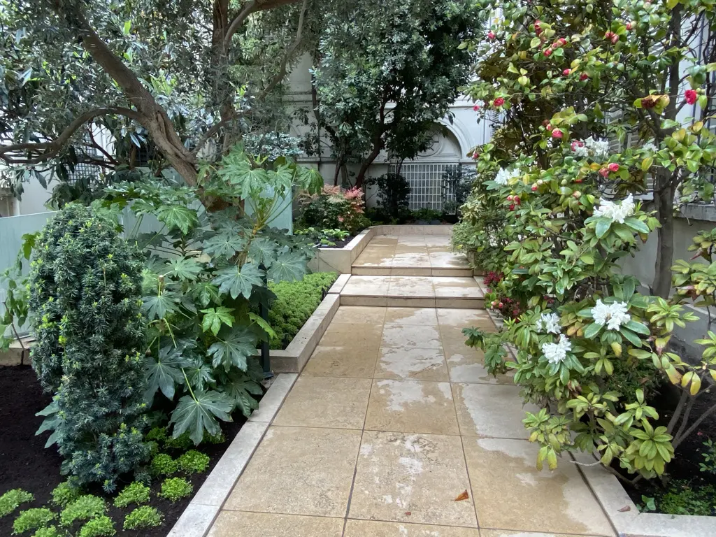 Jardin d'ailleurs — détail feuillage flamboyant