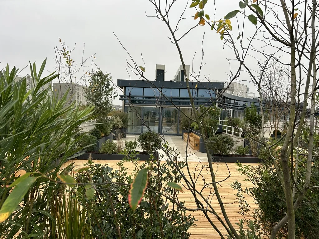 Terrasse après végétalisation
